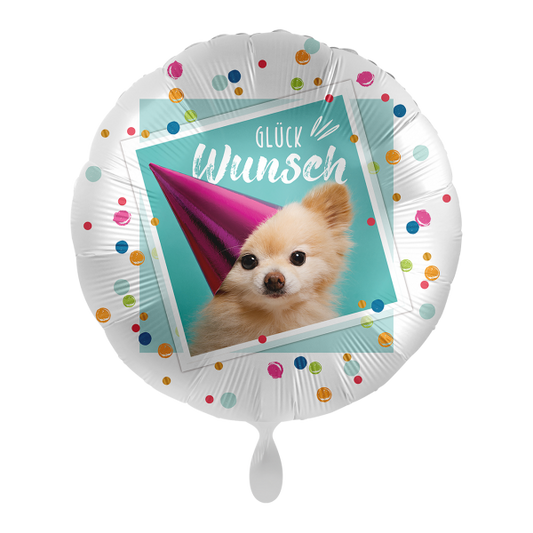 Congrats Sweet Puppy