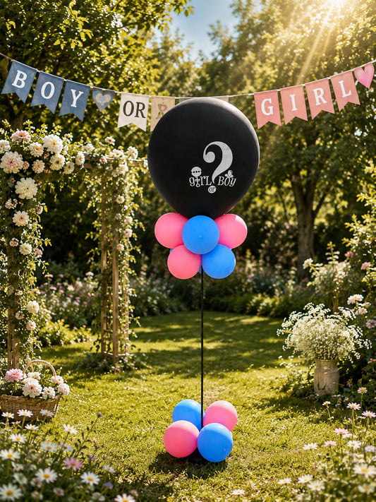 Gender Reveal Ballon