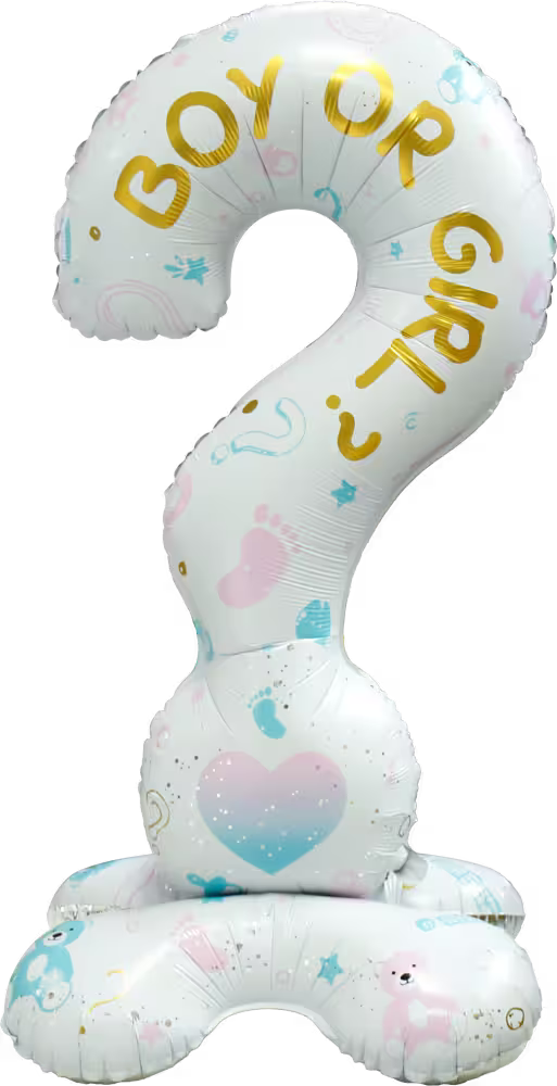 Stand Up Fragezeichen - Gender Reveal Party 155cm